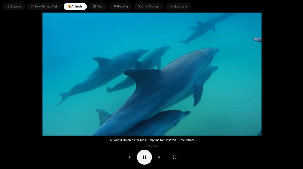 Picked player — Animals category, dolphins video