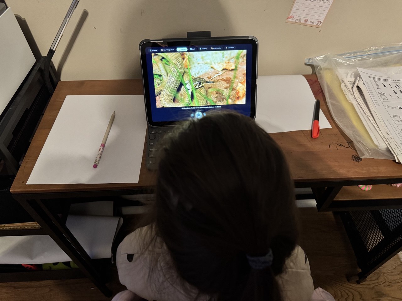 Girl watching Animals on tablet