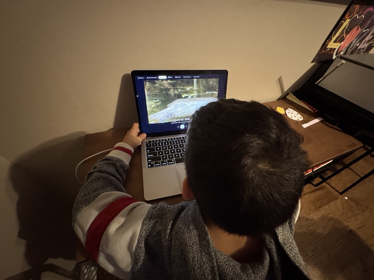 Boy watching Picked on laptop